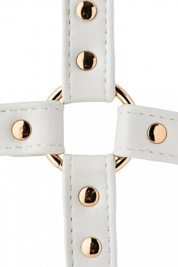 Blaze Elite Hogtie Wit