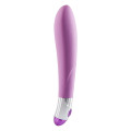 Lovely Vibes Elegant Soft Touch Vibrator Paars