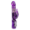 Rabb It Swing Vibrator Paars