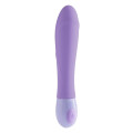 Shades Of Purple Seduction Vibrator Paars