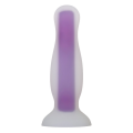 Evolved Luminous Glow In The Dark Buttplug Medium Paars