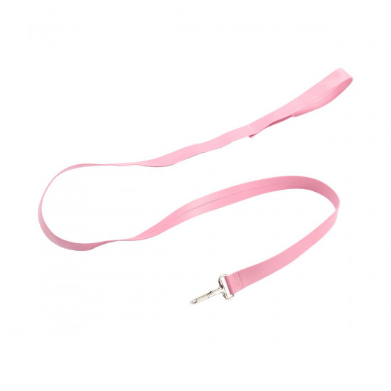 Fetish Store Halsband & Riem Roze