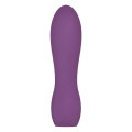 Ivy Intense Power Vibrator Small Paars