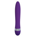 Lovetoy Vibe Vibrator Paars